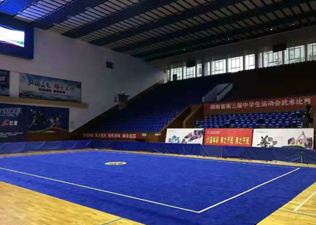 ���������g��̺